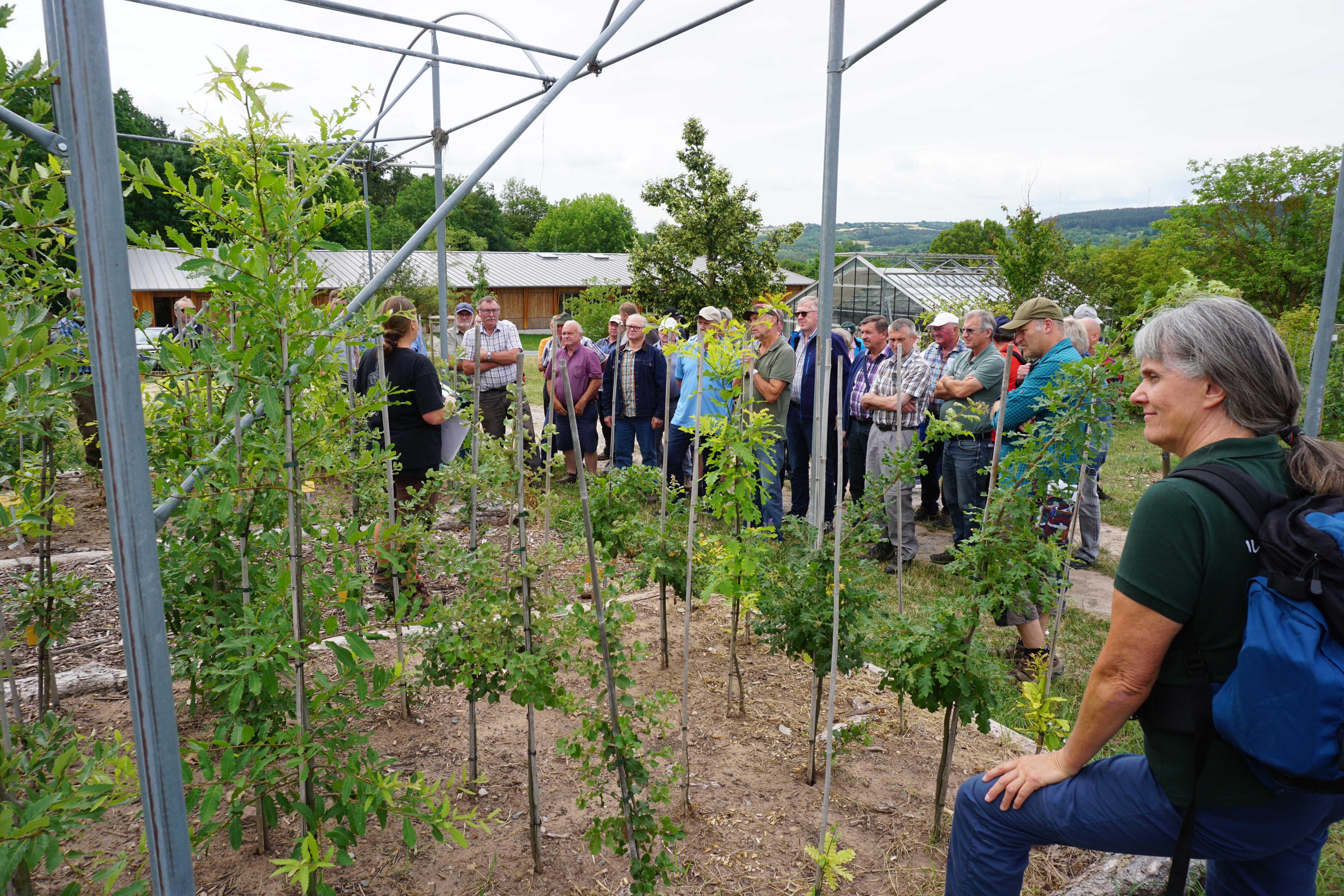 2023 06 28 Veitshochheim 7