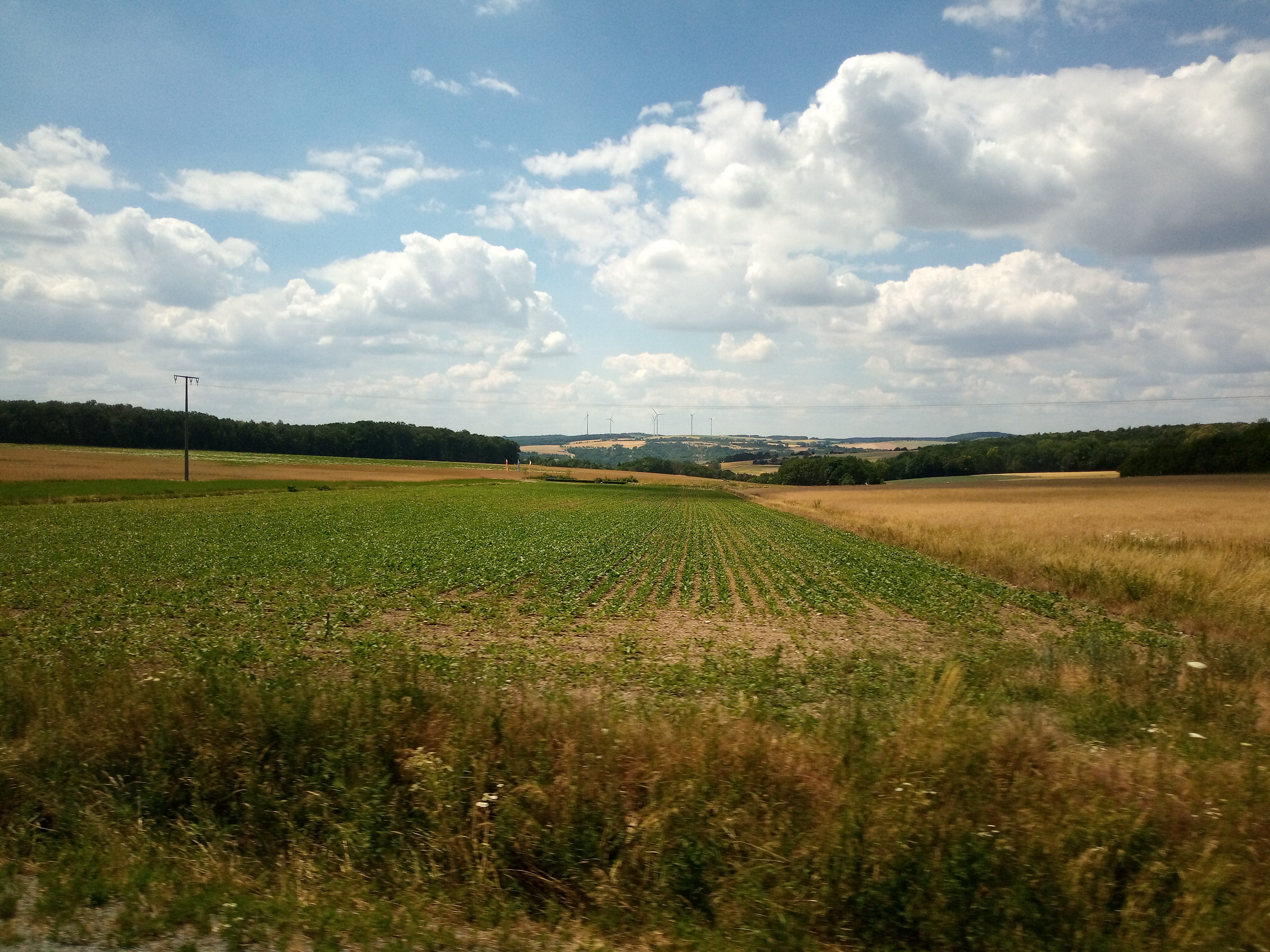 IMG 20230628 134826 966