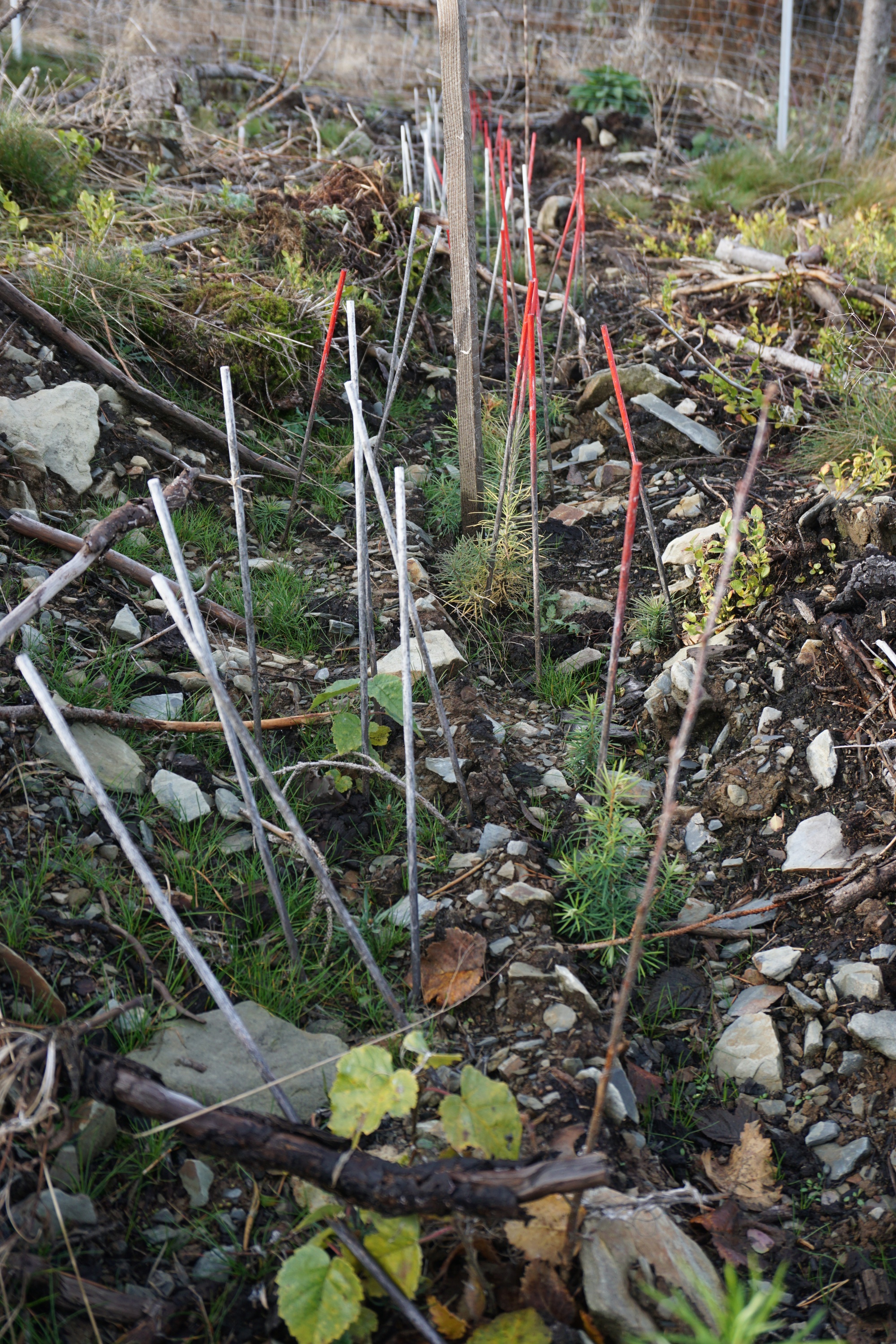 WBV Obleutefahrt 18