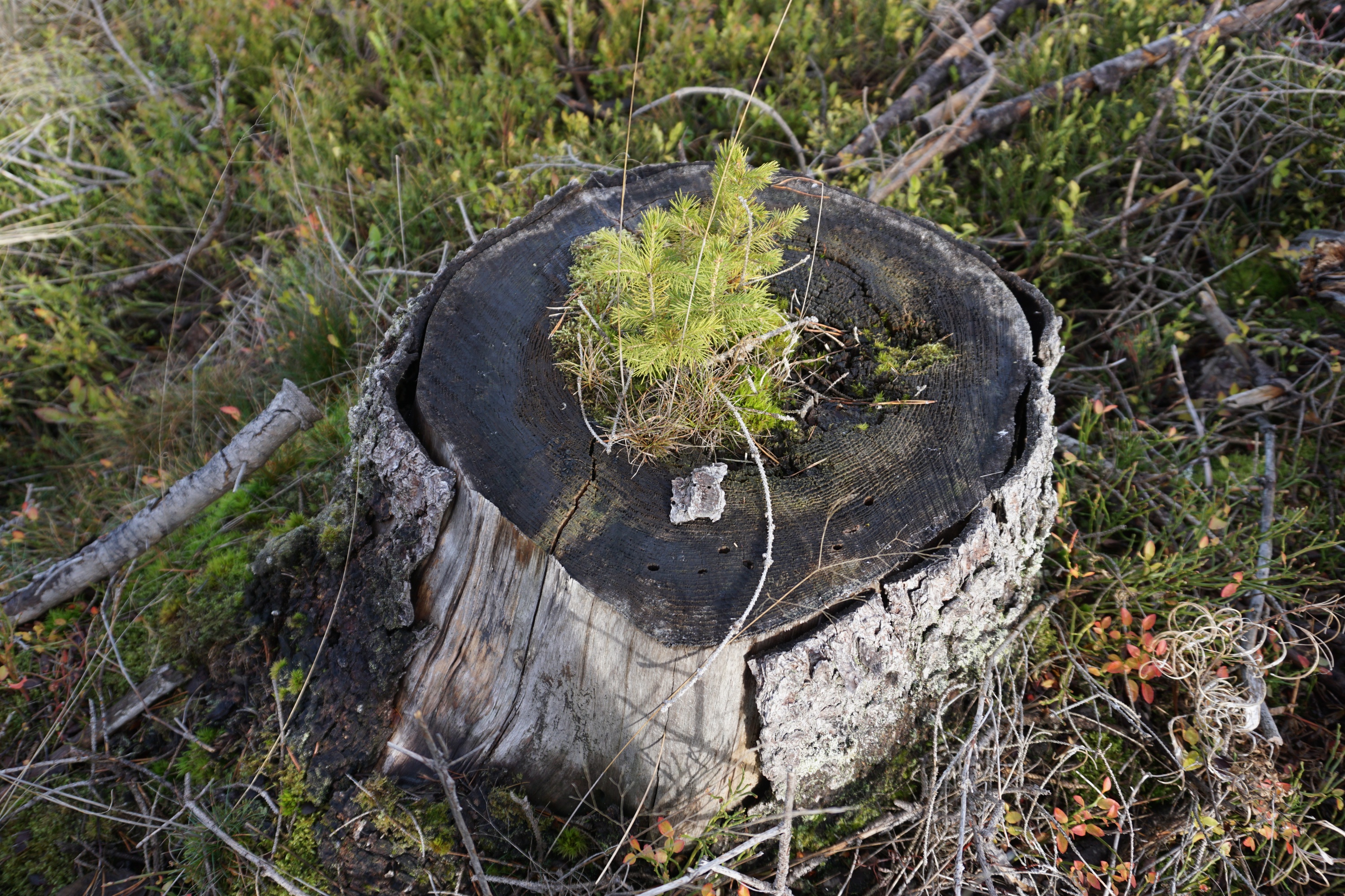 WBV Obleutefahrt 21