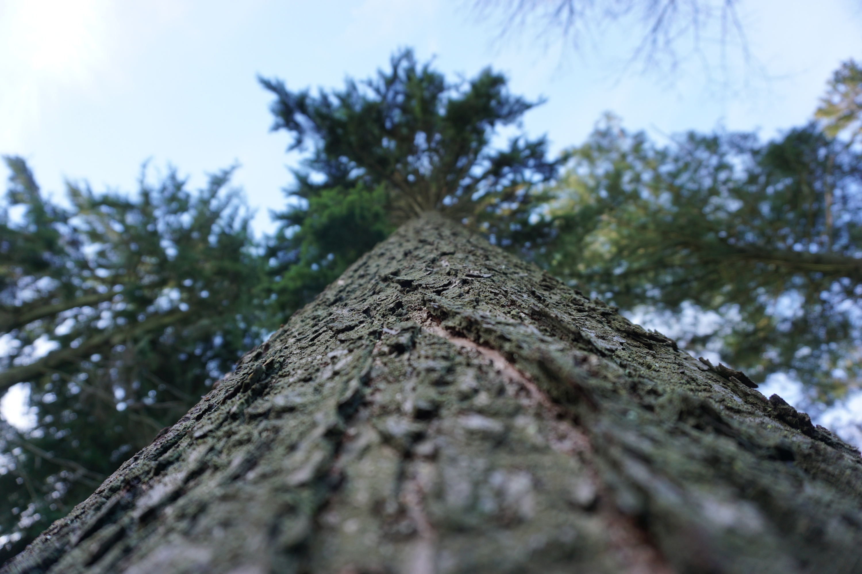 WBV Obleutefahrt 32