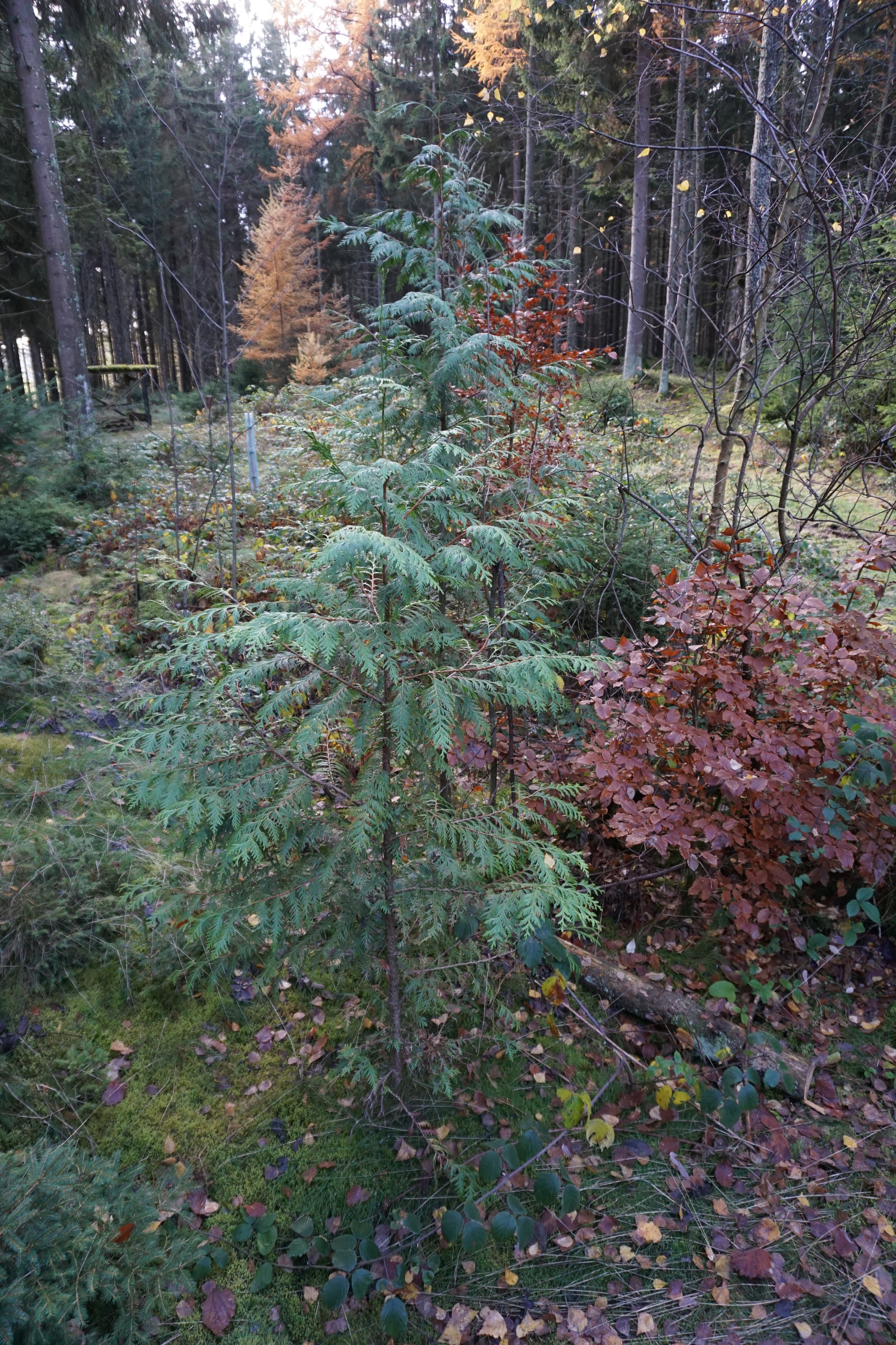 WBV Obleutefahrt 36